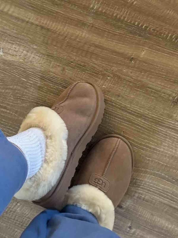 Tazzette Genuine Shearling Collar Slipper (Women) | Nordstrom | Nordstrom