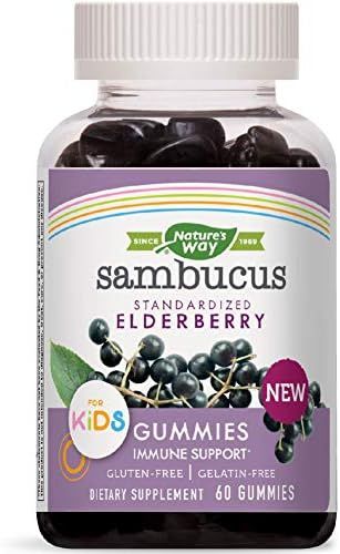 Nature's Way Sambucus Elderberry Kid's Gummies, Black Elderberry with Vitamin C and Zinc, 60 Coun... | Amazon (US)