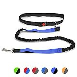 DIFFLIFE Hands Free Dog Leash, Retractable Dual Handle Bungee Leash, Adjustable Waist Dog Running Be | Amazon (US)