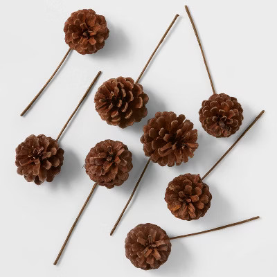 40ct Pinecones - Wondershop™ | Target