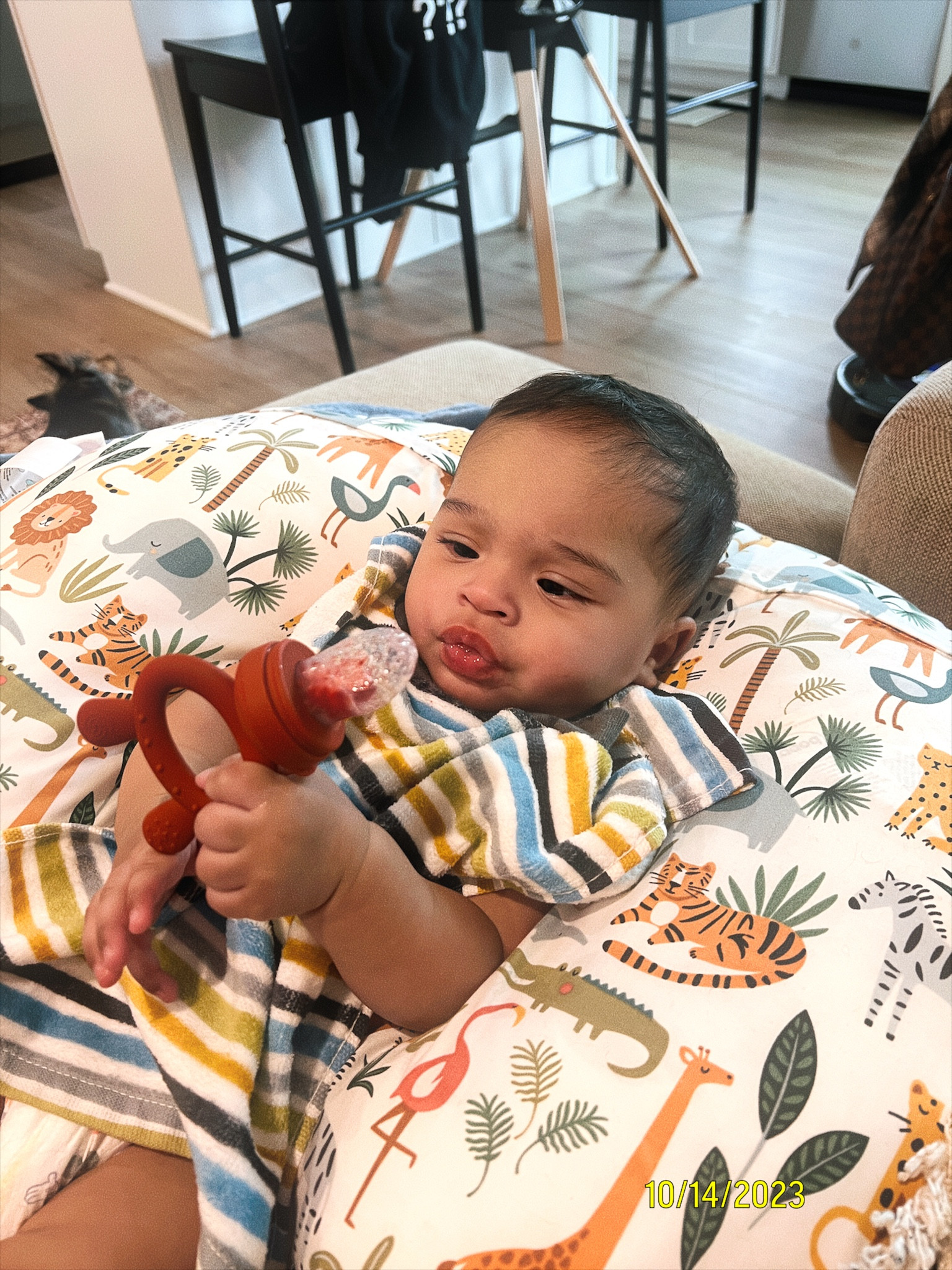 misters favorite way to teeth lately 

#LTKbaby #LTKkids