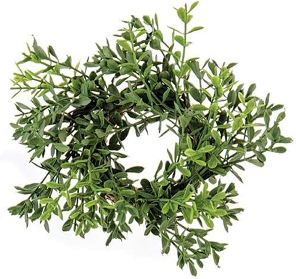 HAPPY DEALS ~ New England Boxwood Candle Ring | 2 inch Center | Greenery Candle Ring Wreath | 6 i... | Amazon (US)