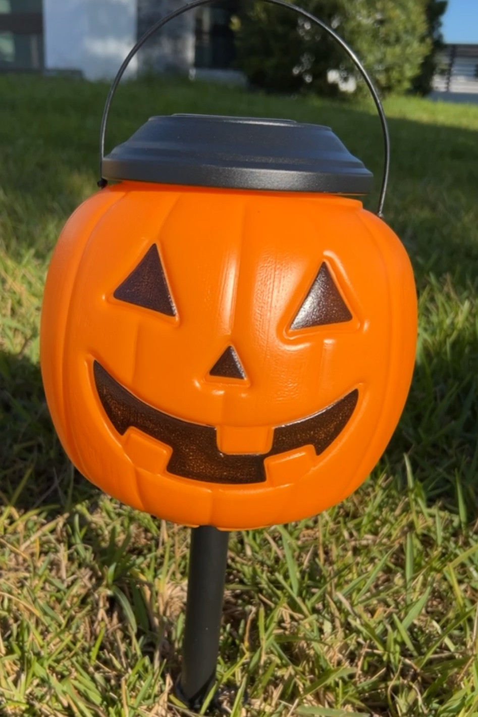 Halloween jack o lanterns 

#LTKHalloween #LTKhome #LTKHoliday