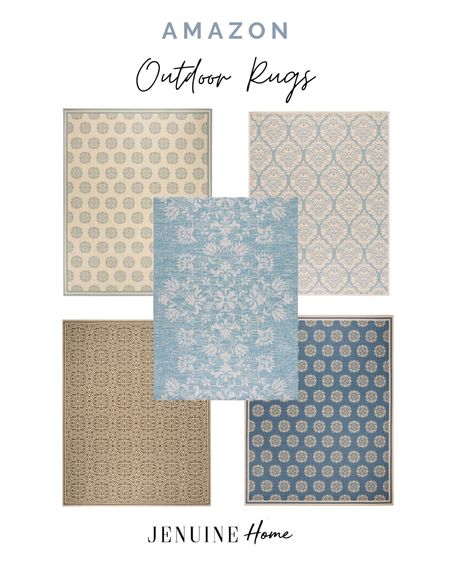 Outdoor rug. Traditional rug. Patio rug. Blue rug. Neutral rug  