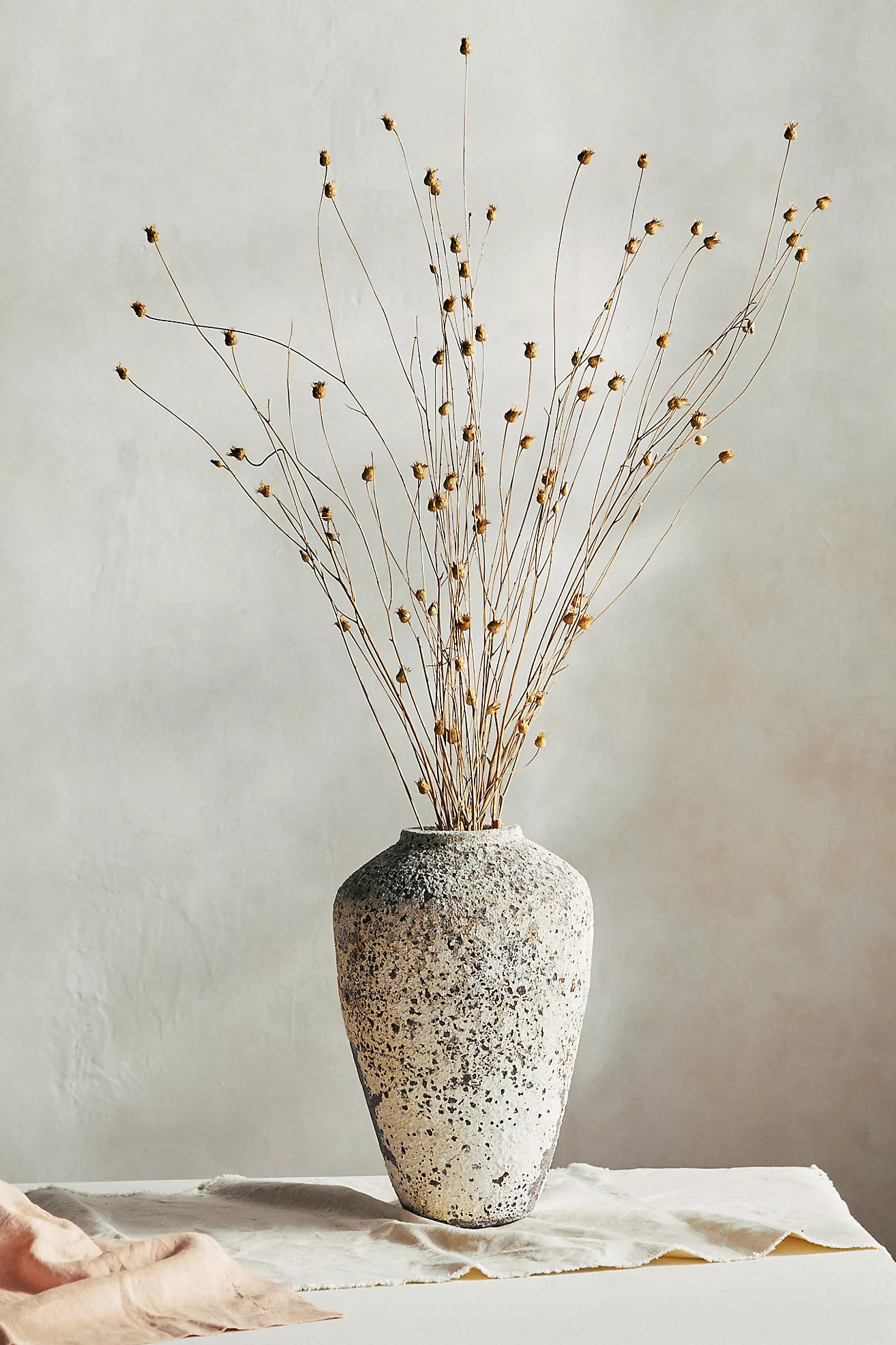 Preserved Linum Bunch | Anthropologie (US)