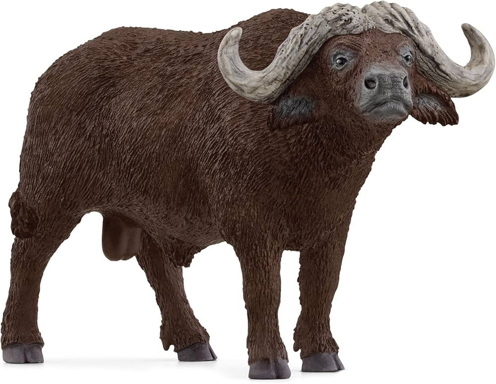 Schleich Wild Life New 2024 Wild Animal Toy African Buffalo Figurine | Amazon (US)