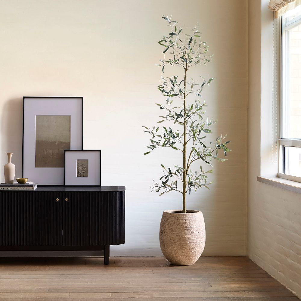 Faux Potted Sparse Olive Tree | West Elm (US)