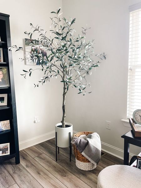 OLIVE TREE - currently on sale (July 5)!
One of my favorite home decor items to use to spruce up a room is plants. They help add color and dimension to a space. My olive tree is a fan favorite, with many visitors to my house asking if it’s real. The quality is amazing!!!
And it is currently on sale. It comes in two sizes. I ordered the 5 ft one and put it in a taller planter to give it some height.

#LTKsalealert #LTKhome #LTKFind