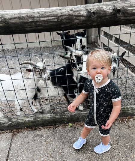 What’s cuter than a baby boy with some baby goats?! OBSESSED with @dreambiglittleco and their shorties. Where my boy moms at? #dreambiglittleco #dblcpartner 


#LTKfamily #LTKkids #LTKfindsunder50
