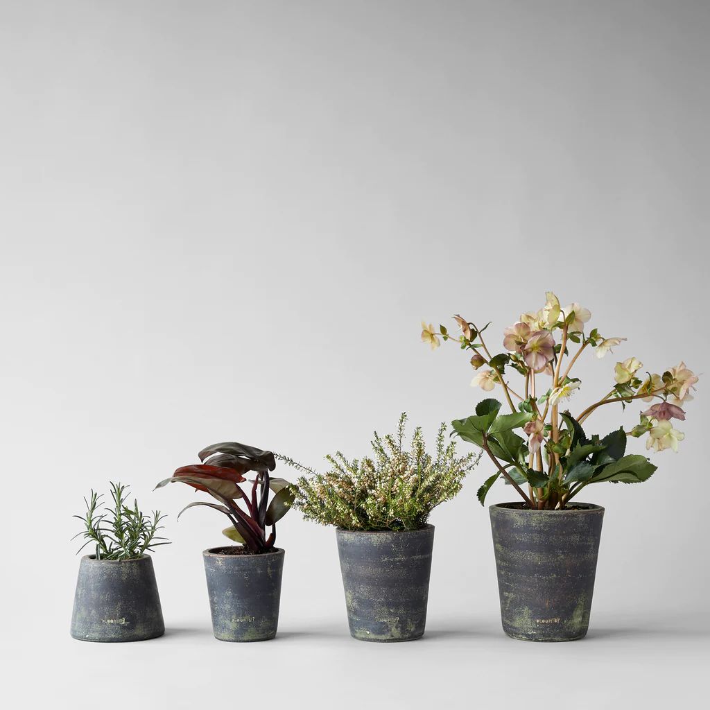 Basic Planter, Grey Patina | Bloomist