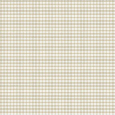 Little Explorers 2 Two Tone Gingham Wallpaper Roll | Wayfair North America