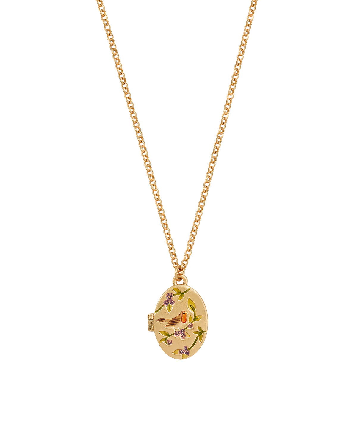 Gold Robin & Blackberry Locket Necklace | Fable England
