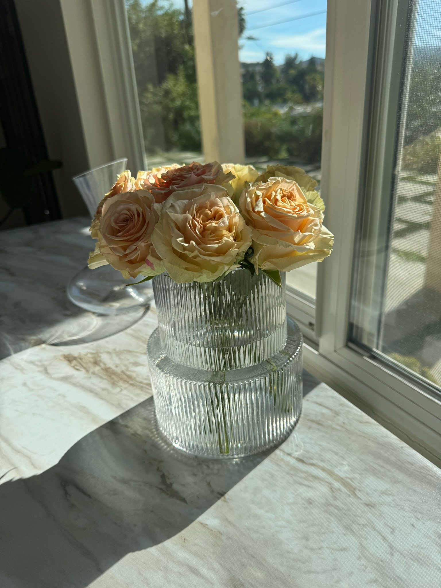 I’m obsessed with the vase from Amazon! It looks so elevated and classy, I get soo many compliments 



#LTKfindsunder100 #LTKMostLoved