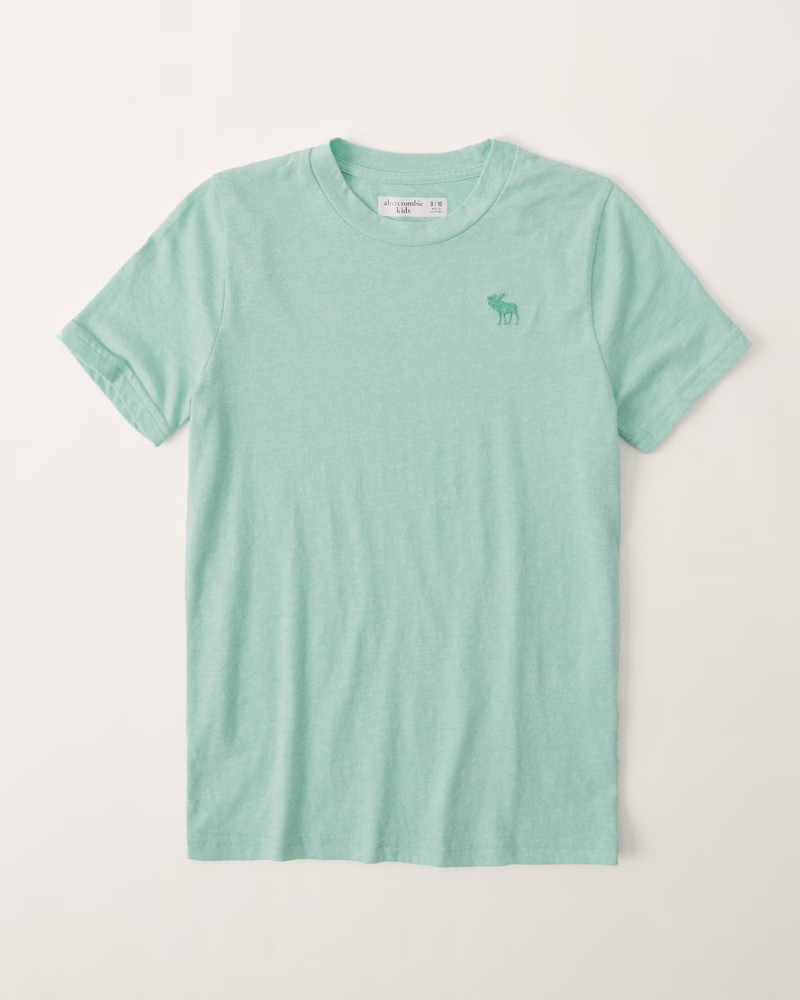 icon tee | Abercrombie & Fitch (US)