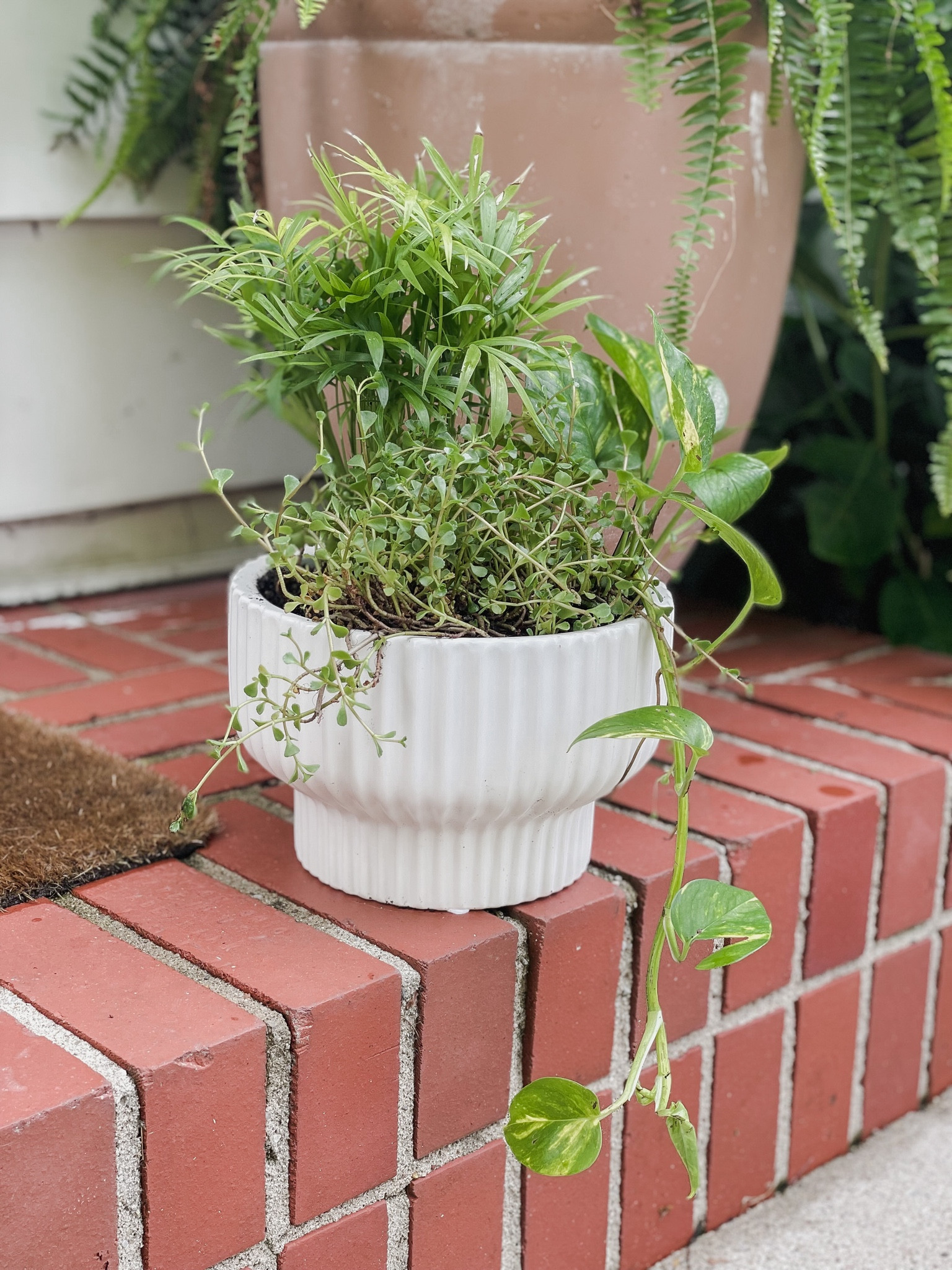 Chic & modern white fluted planter from Walmart on sale for under $6! I bought 3 to use as centerpieces on our outdoor table.

#walmart #walmartfinds #betterhomesandgardens #planter #outdoordecor #homedecor #plants #centerpiece #neutralhome

#LTKsalealert #LTKSeasonal #LTKhome