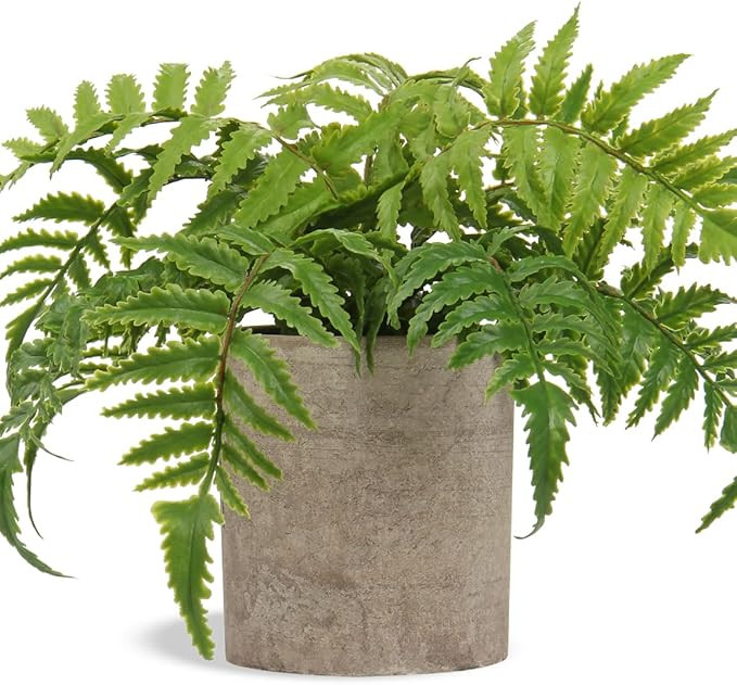 Small Fake Plant Potted Plants Artificial Decor Silk Boston Ferns Plant Faux Plants in Pots for H... | Amazon (US)