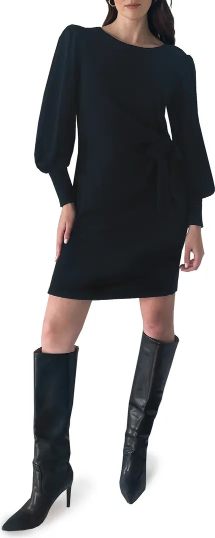 Long Sleeve Tie Side Sweater Dress | Nordstrom