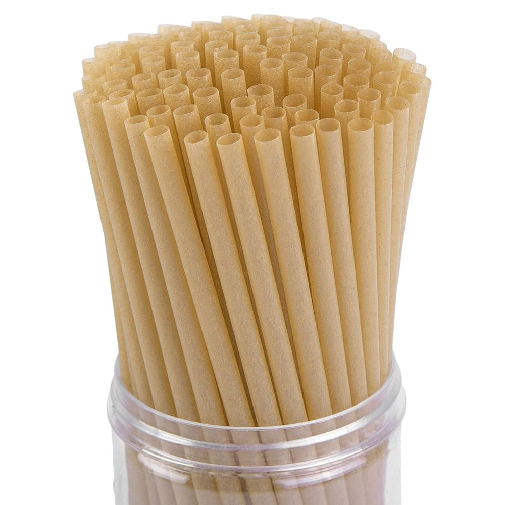 HANSGO Sugarcane Straws, 200PCS Drink Straws Disposable for Hot Cold Drinks, Coffee, Cocktail, Ju... | Amazon (US)