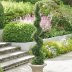 Mini Tea Leaf Spiral Topiary | Grandin Road | Grandin Road