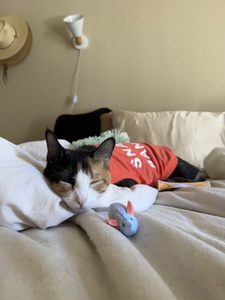 Cali taking a nap in her cat shirt 🫶🏼 @target

#LTKxTarget #LTKfamily #LTKhome