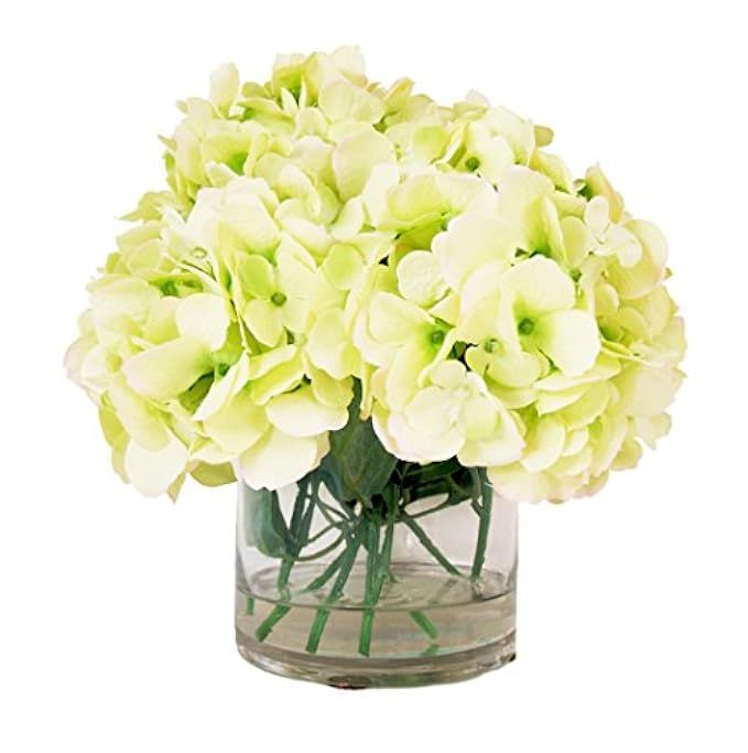 Cream/Green Hydrangea Bouquet in Round Cylinder Glass Vase with Acrylic Water | Amazon (US)