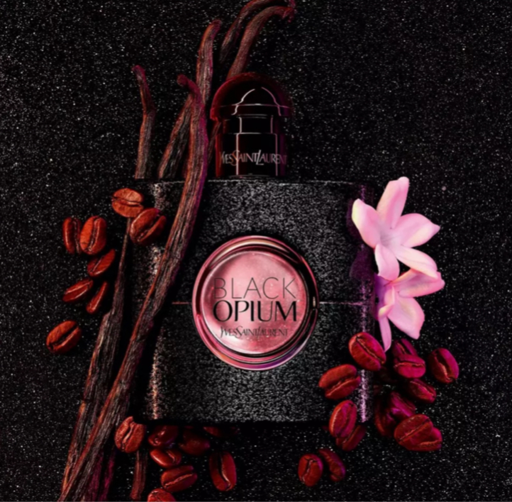 More moody perfume

#LTKSeasonal #LTKGiftGuide #LTKbeauty