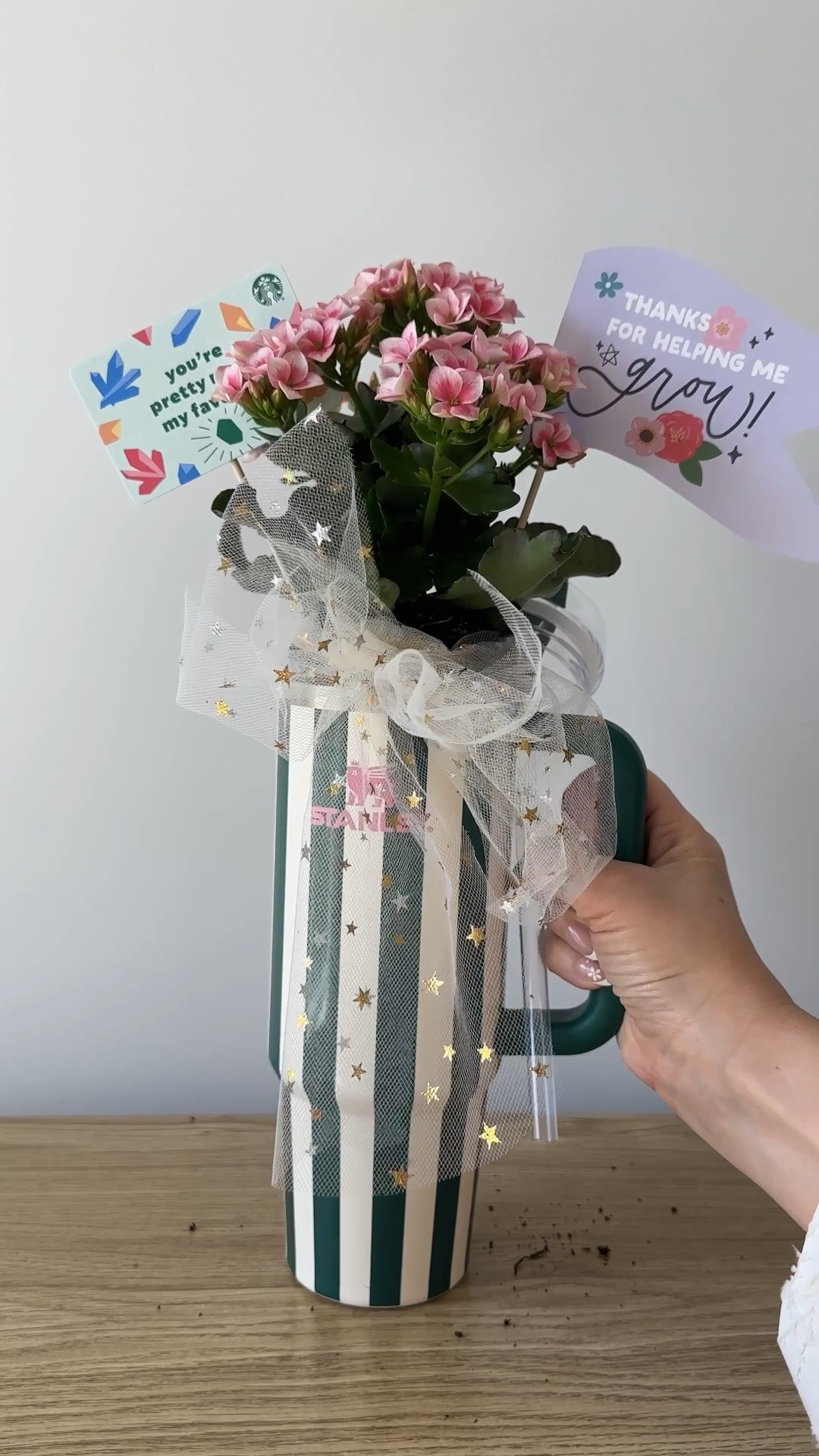 Teacher Appreciation Gift Idea 🌷

#LTKWatchNow #LTKGiftGuide #LTKHome