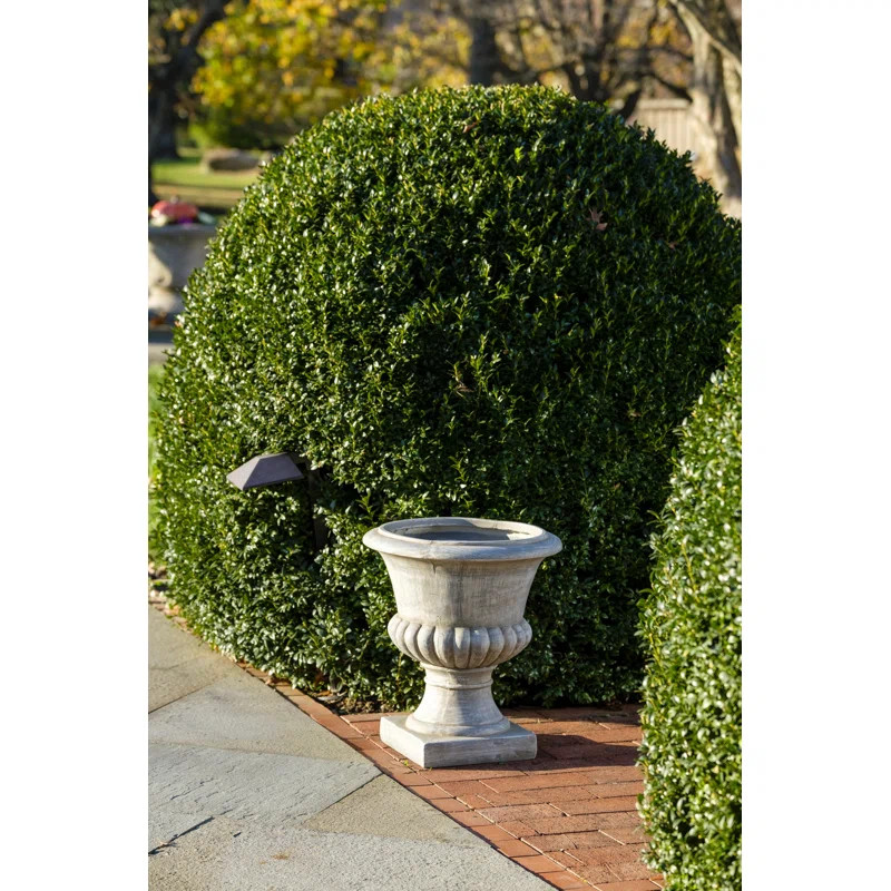 Dey Urn PlanterSee More by Canora GreyRated 5 out of 5 stars.5.07 Reviews$113.99$258.7256% OffOn ... | Wayfair North America