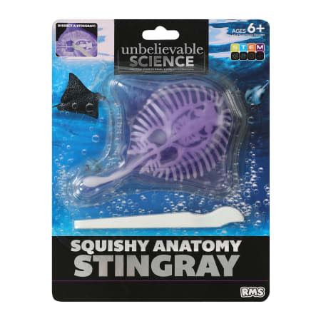 Unbelievable Science Squishy Anatomy | Five Below