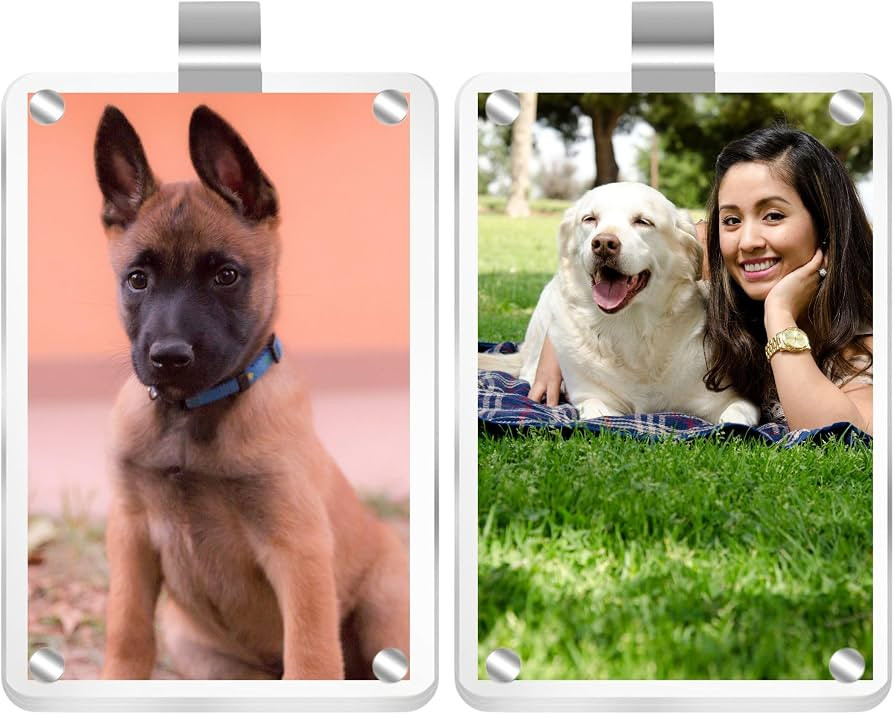 Car Sun Visor Photo Holder, 2 Pack Universal Magnetic Car Visor Clip, Personalized Picture Frame ... | Amazon (US)