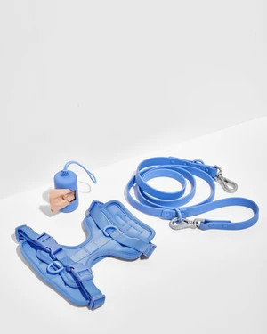 Harness Walk Kit | Dog Harness & Leash Kit | Wild One | Wild One