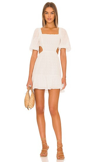 Whitewash Mini Dress in White | Revolve Clothing (Global)