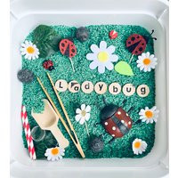 Ladybug Sensory Bin, Ladybugs Play, Busy Box, Kids Gift, Travel Activity For Kids, Box | Etsy (US)