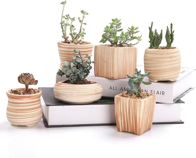Sun-E 3 Inch Ceramic Wooden Pattern Succulent Plant Pot Cactus Plant Pot Flower Pot Container Pla... | Amazon (US)