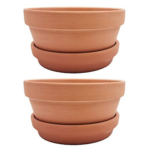 Yishang Large Terracotta Pots with Saucer/Tray for Succulent - 8 Inch Cactus Plant Containers Indoor Garden Bonsai Pots with Drainage Hole - Set of 2, Unglazed Clay Ceramic Pottery Planter | Amazon (US)