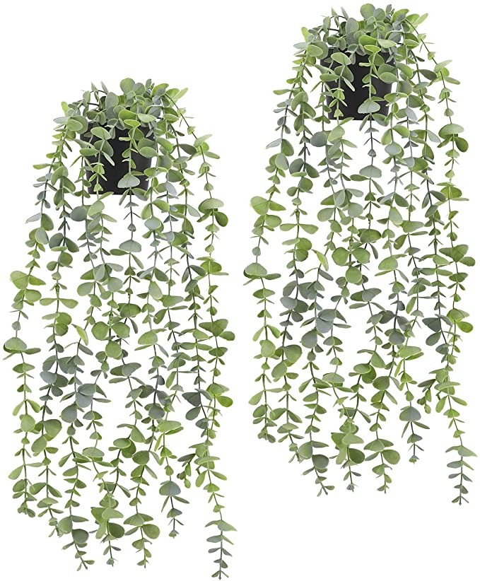 Fake Hanging Plant - Artificial Eucalyptus Faux Greenery Vine Plant for Home Decor - 23" Fake Pla... | Amazon (US)
