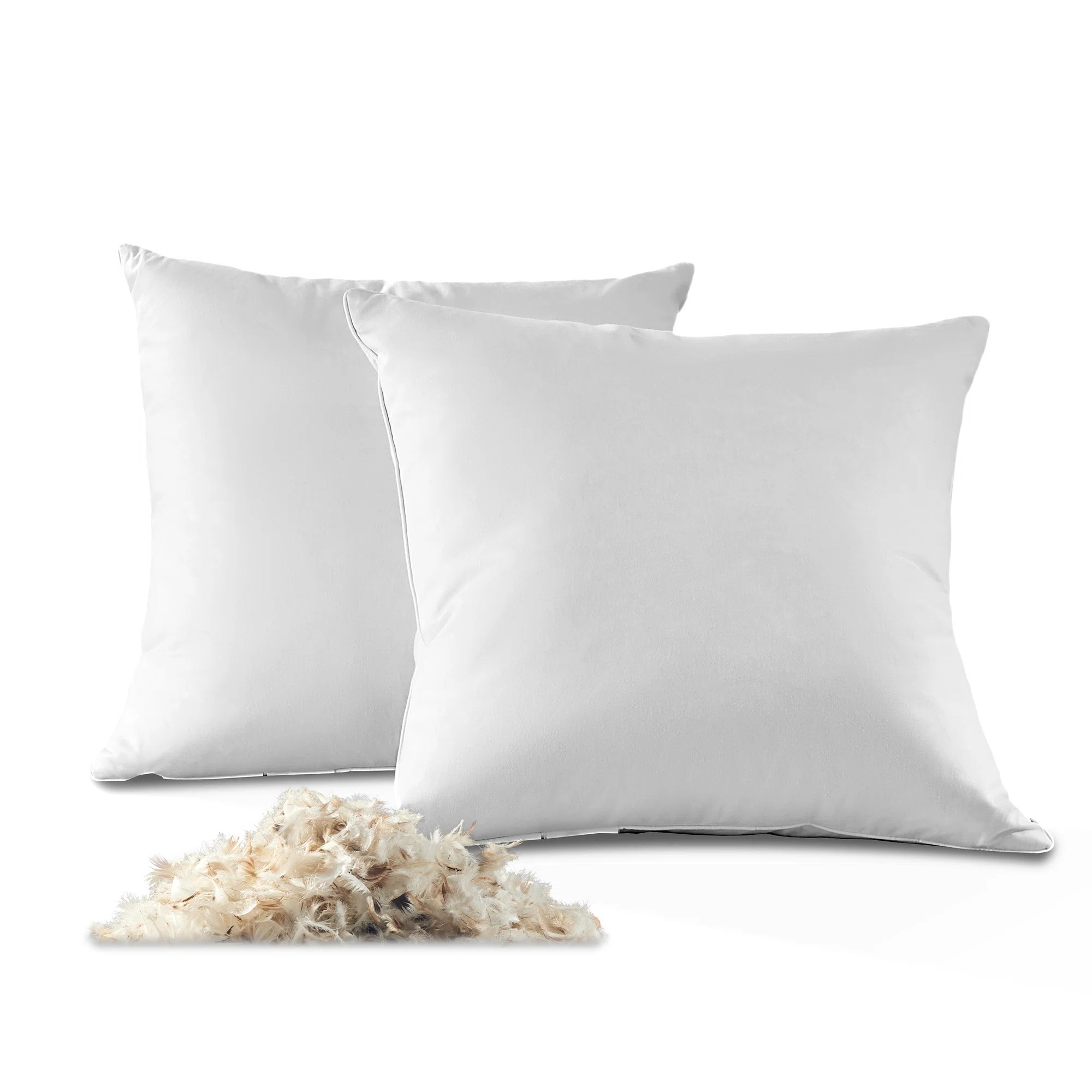 Down Feather Square Pillow Insert (Set of 2) | Wayfair North America