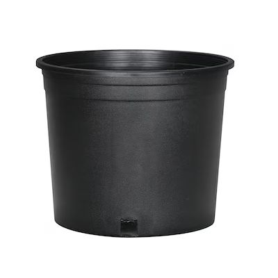 Style Selections 9.72-in x 8.62-in Black Resin Planter with Drainage Holes | Lowe's