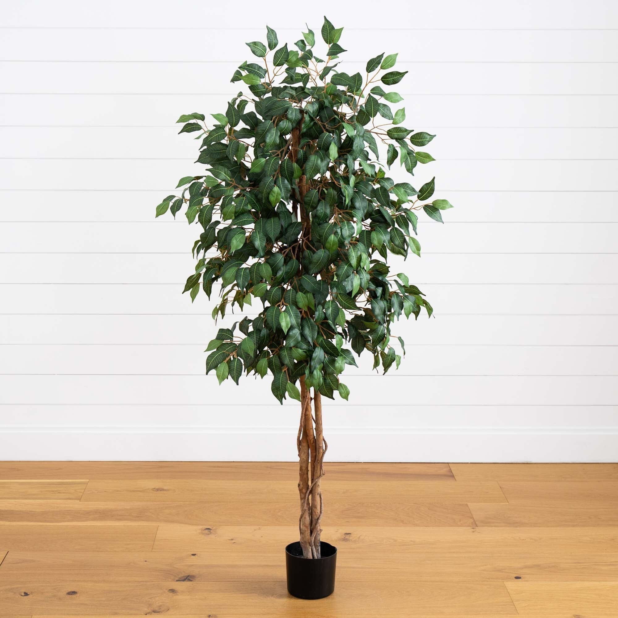 5' Ficus Silk Tree | Nearly Natural | Nearly Natural