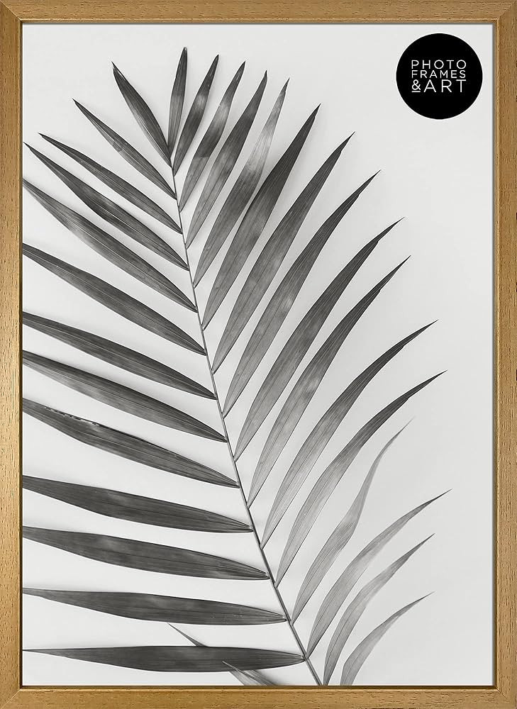 pf+a Winchester a3 poster frame - REAL GLASS - Premium A3 Picture Frame - A3 Wooden Photo Frame -... | Amazon (UK)