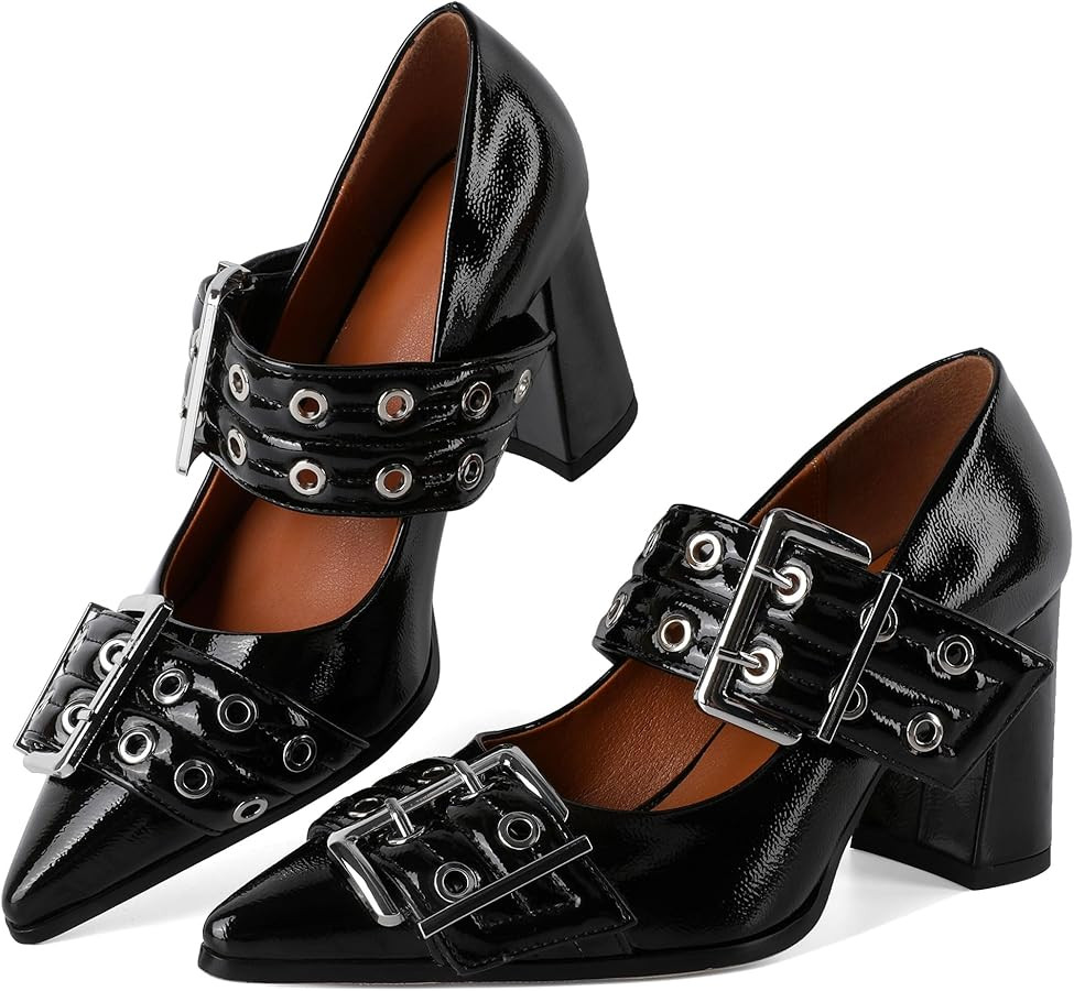 Zamikoo Buckle Shoes for Women Mary Jane Closed Pointed Toe Slip On Chunky Block High Heel Pumps | Amazon (US)