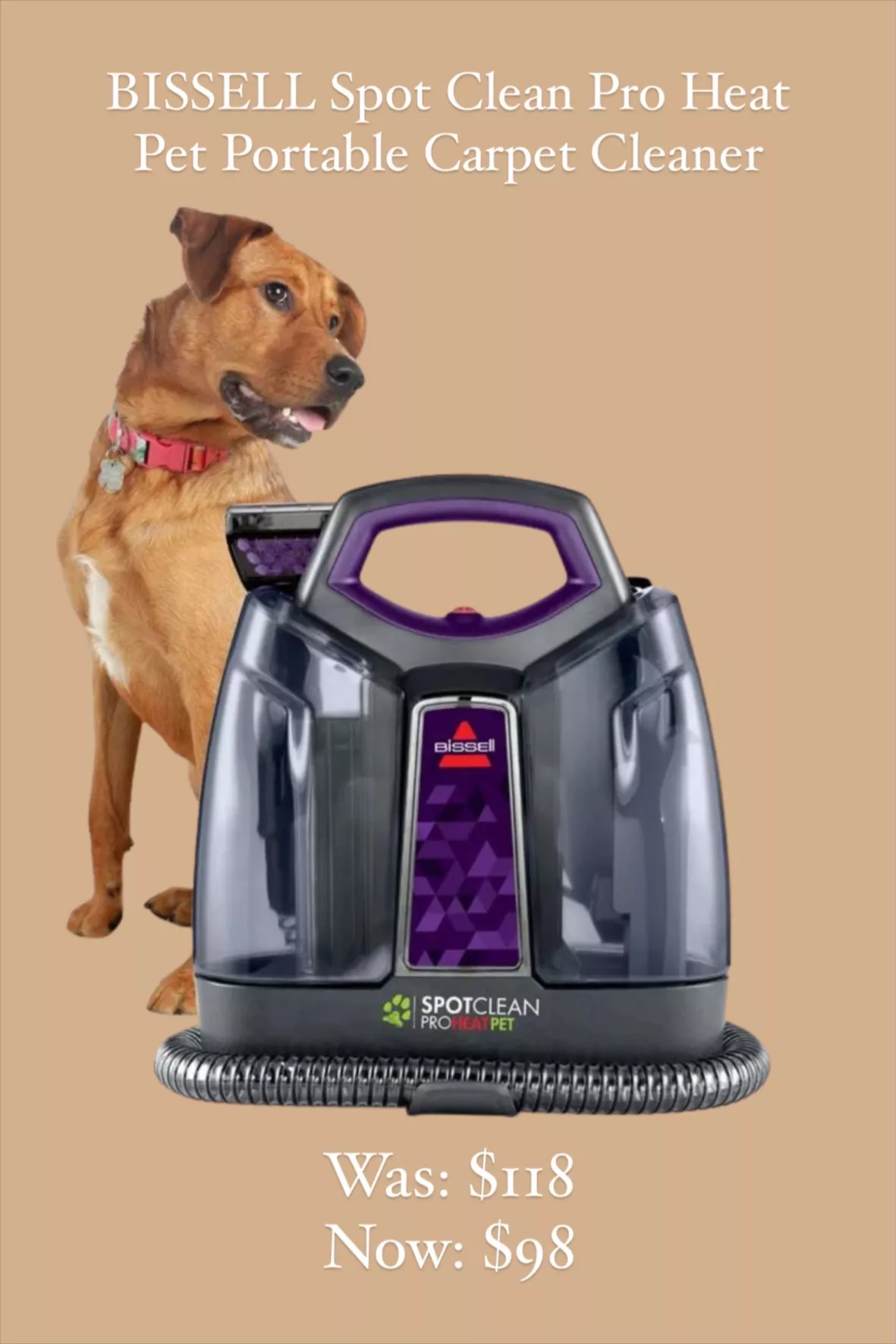 BISSELL SpotClean ProHeat Pet … curated on LTK
