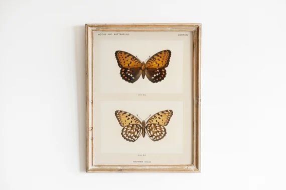 Butterfly Print, Vintage Art, Printable Artwork | Etsy (US)