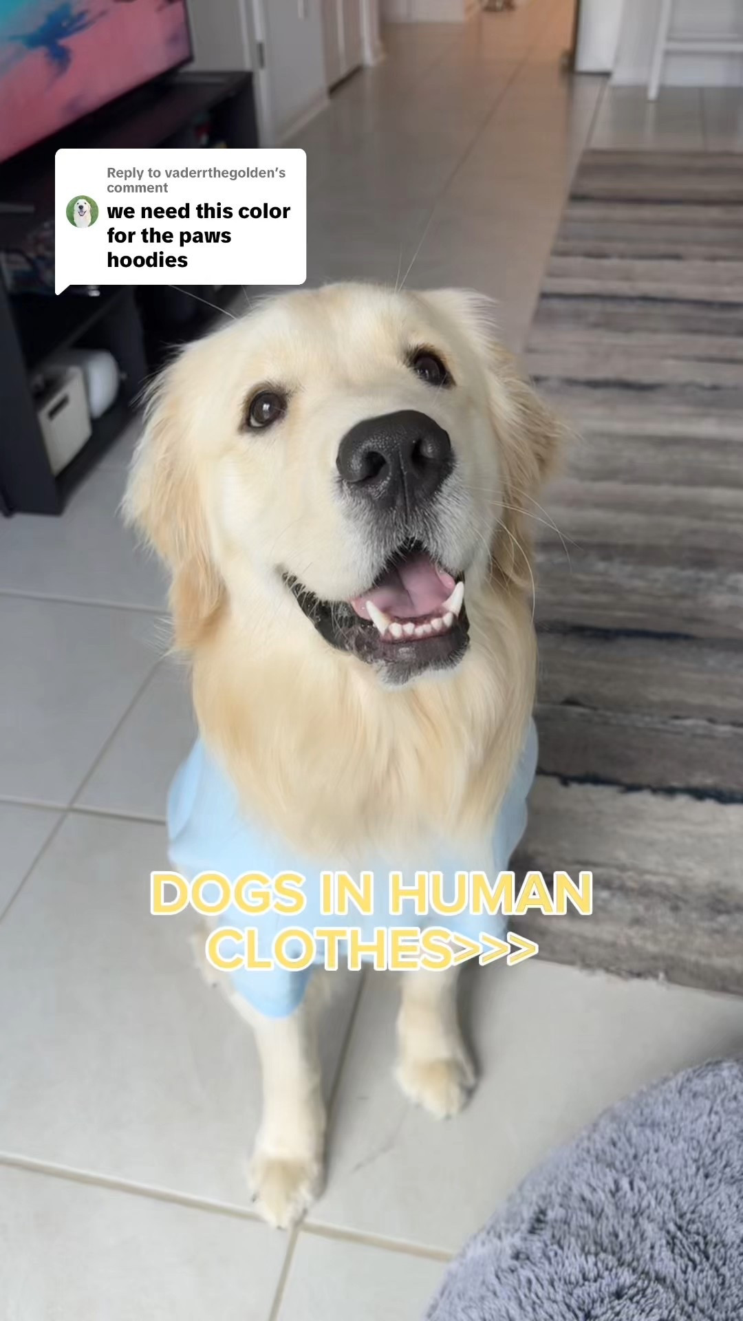 NEW PASTEL PAWS #comfrt

#LTKPets #LTKFindsUnder50 #LTKSaleAlert