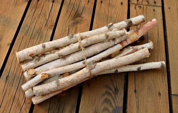 Birch Log Bundle, 11 White Birch Branches, Birch Wood Sticks, DIY Natural Centerpiece | Etsy (US)