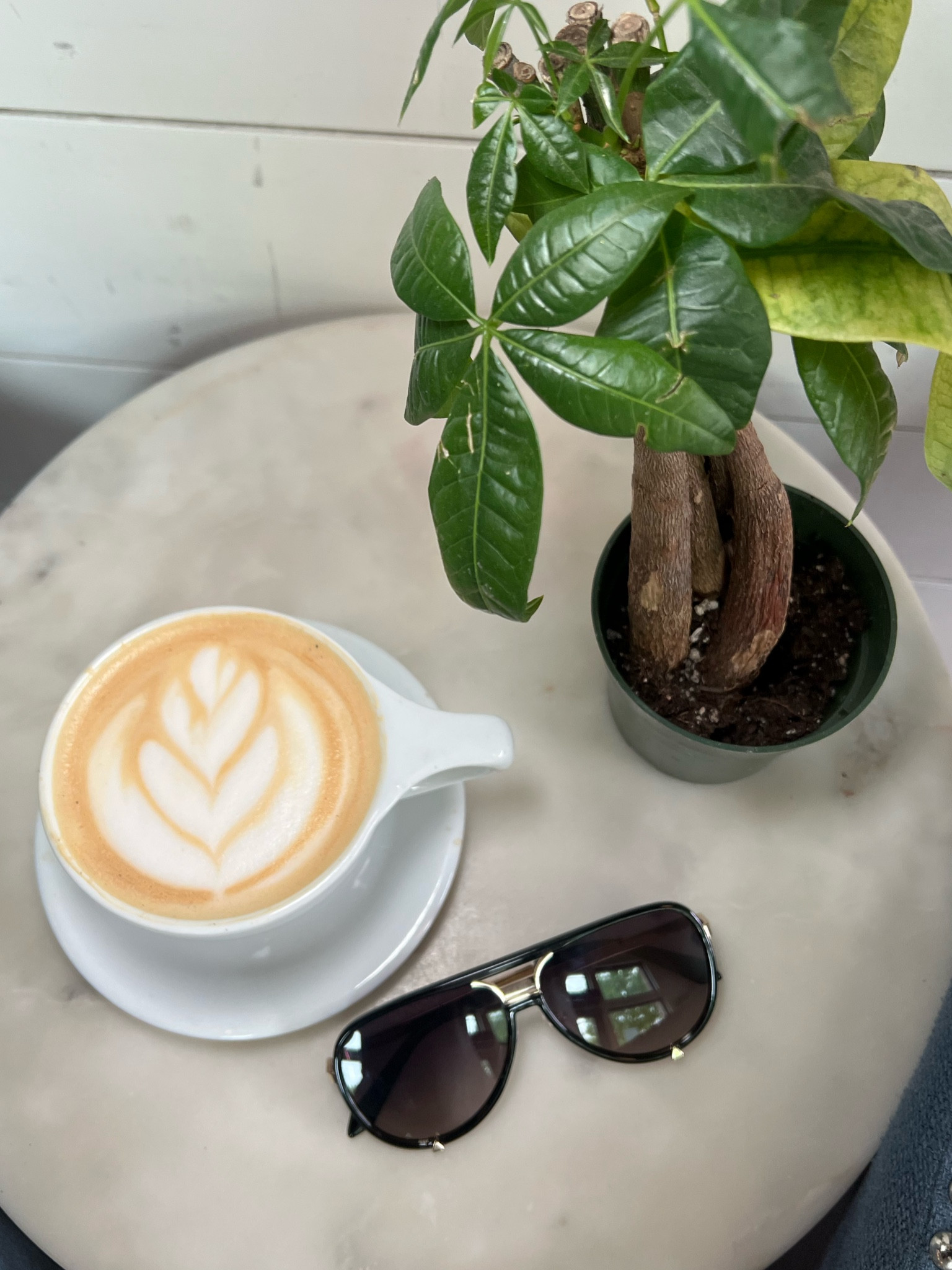 Fashion sunglasses but make them affordable. These cute sunnies from quay are high quality with style to match. 

#styledwithintention #fashion #sunglasses #quay #spring

#LTKstyletip #LTKfindsunder100 #LTKtravel