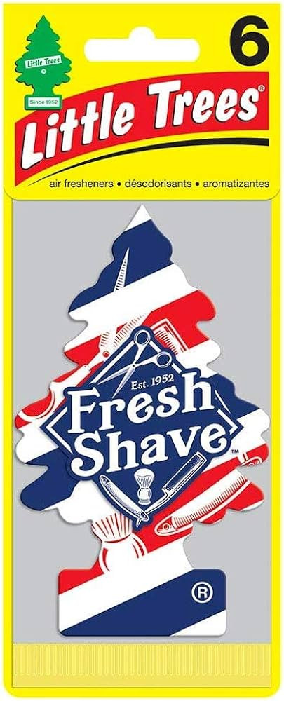 Little Trees Car Air Freshener 6-Pack (Fresh Shave) | Amazon (US)
