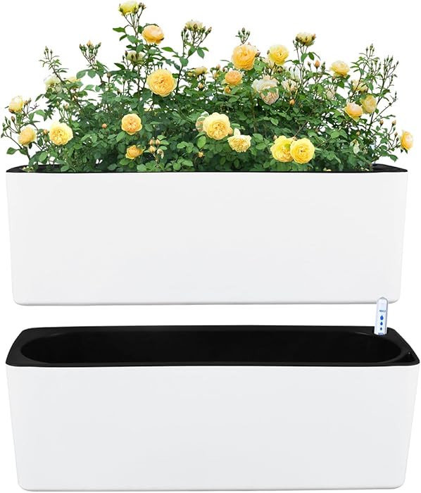 2 Pack Rectangular Planter 15.6 x 5.4 in Self Watering Planter Window Sill Planters Indoor Rectan... | Amazon (US)