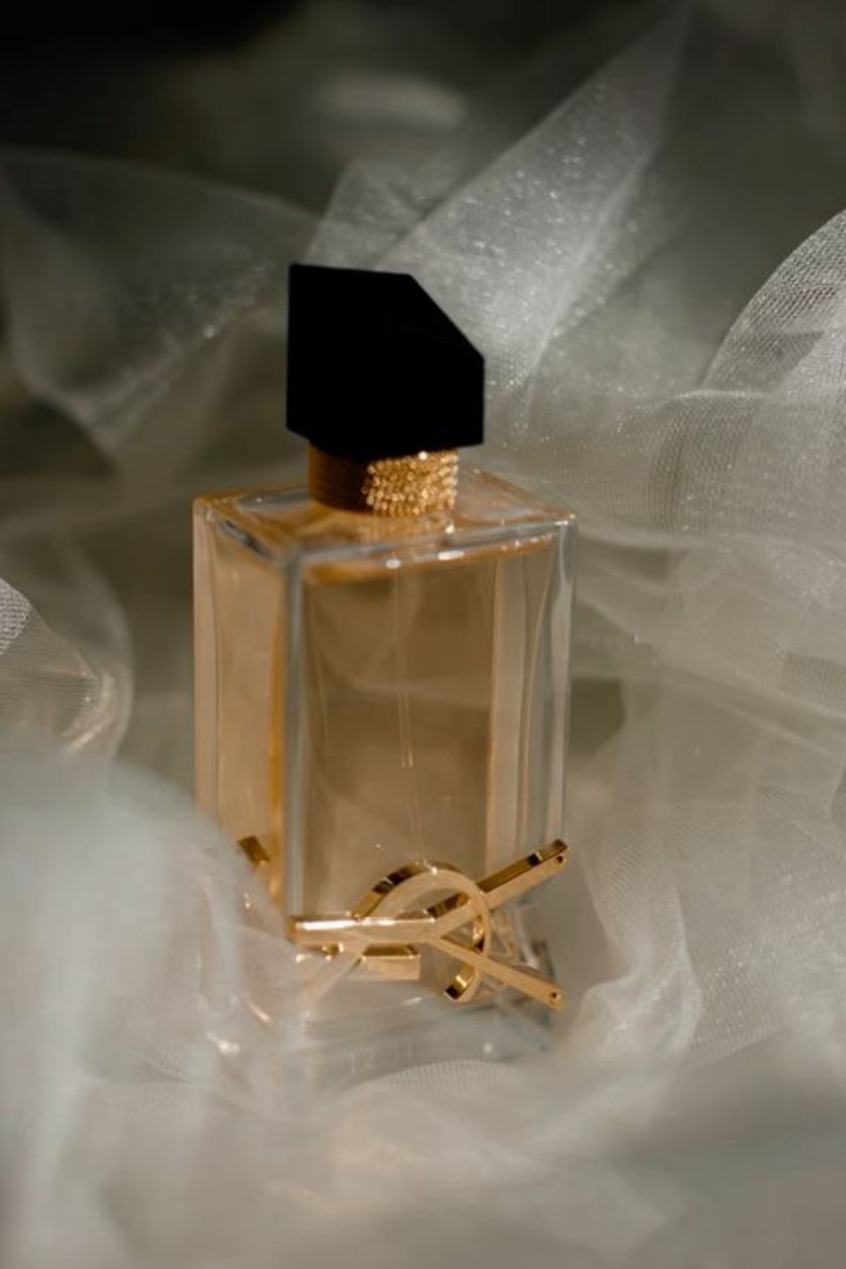 Wedding day perfume 🤍🫶🏼

#LTKWedding #LTKFindsUnder100 #LTKBeauty