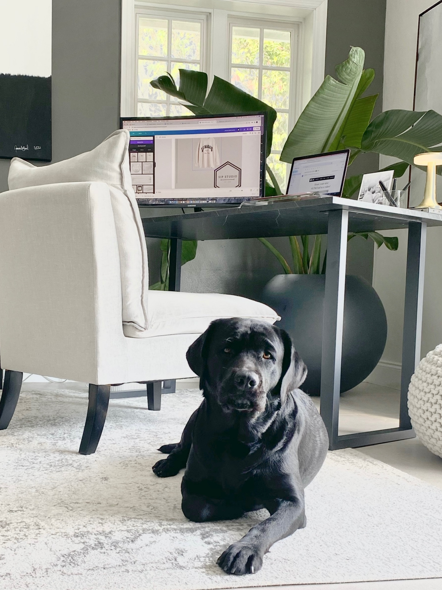 Amazon desk 

#desk 
#homeoffice 
#amazondesk

#LTKstyletip #LTKhome #LTKFind